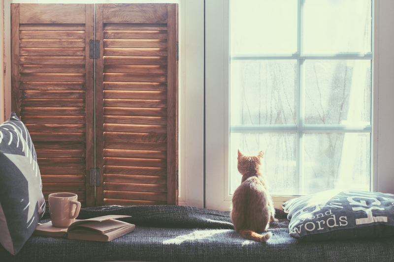 Eco-friendly Methods to Recycle Wood Waste