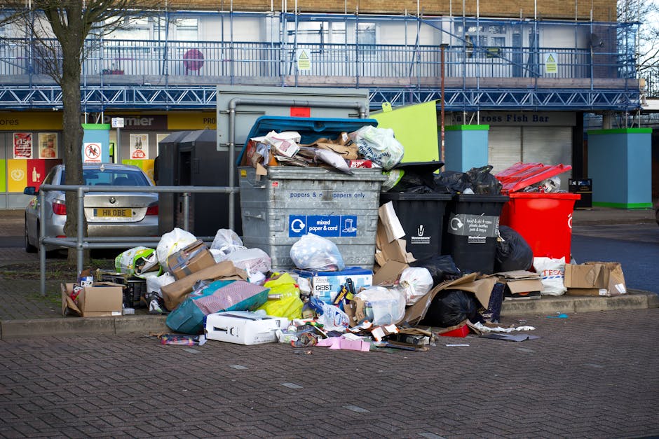 Same day rubbish collection Acton Central insider tips